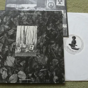 FLUX OF PINK INDIANS - STRIVE TO SURVIVE CAUSING LEAST SUFFERING POSSIBLE LP - Nr MINT/EXC+ A1/B1 UK ORIG  PUNK ANARCHO CRASS