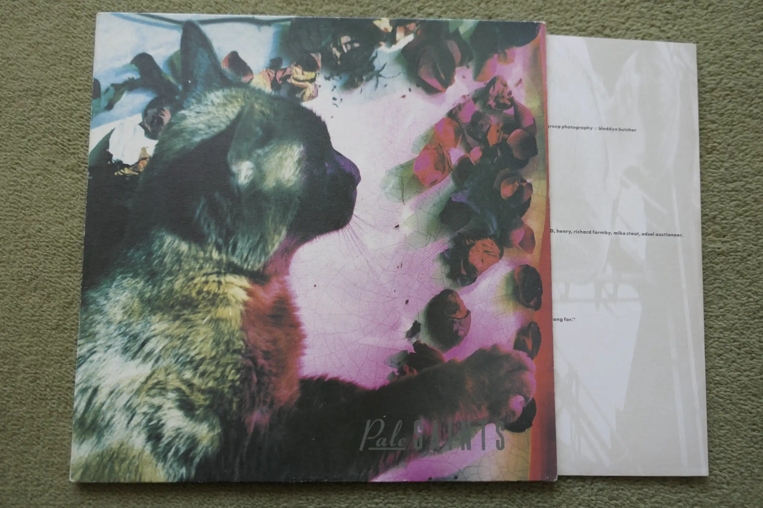 Pale_Saints_The_Comfort_Of_Madness_vinyl_record_fc