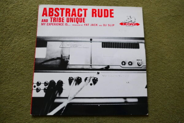 ABSTRACT RUDE and TRIBE UNIQUE - MY EXPERIENCE IS... 12" - Nr MINT 1997  RAP HIP HOP