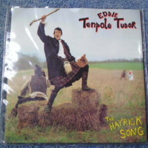 EDDIE TENPOLE TUDOR - THE HAYRICK SONG 7" - Nr MINT UK PUNK