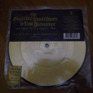 THE EIGHTIES MATCHBOX B-LINE DISASTER - RISE OF THE EAGLES Picture Disc 7" - MINT INDIE GARAGE ROCK