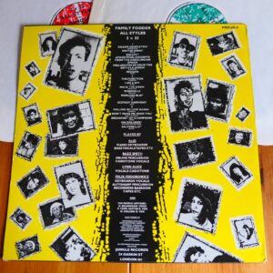 FAMILY FODDER - ALL STYLES 2LP - Nr MINT UK POST-PUNK INDIE