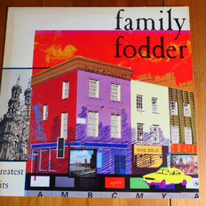 FAMILY FODDER - GREATEST HITS LP - Nr MINT POST-PUNK INDIE