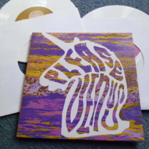 GOLDEN SILVERS - PLEASE VENUS White Vinyl 2x7" - Nr MINT 2009 INDIE