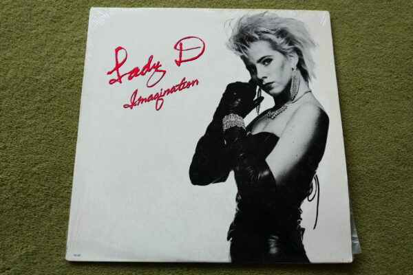 LADY D - IMAGINATION 12" - Nr MINT 1987  ELECTRONICA DANCE SYNTH POP