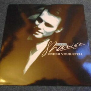 MARK SHAW - UNDER YOUR SPELL 12" - Nr MINT UK THEN JERICO