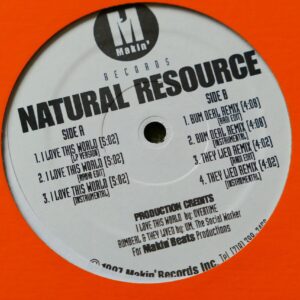 NATURAL RESOURCE - I LOVE THIS WORLD 12" - Nr MINT 1997  RAP HIP HOP