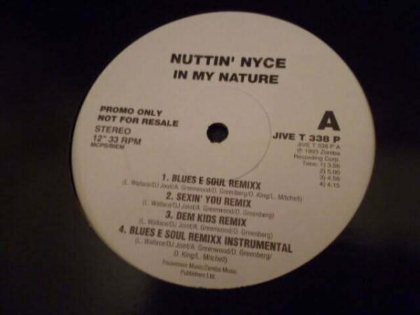 NUTTIN' NYCE - IN MY NATURE Promo 12" - Nr MINT 1993  RAP HIP HOP R&B