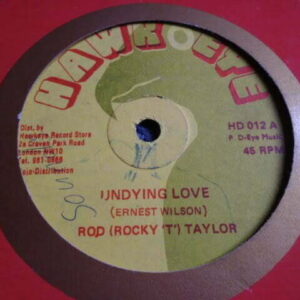 ROD ROCKY T TAYLOR - UNDYING LOVE 12" - VG REGGAE ROOTS DUB