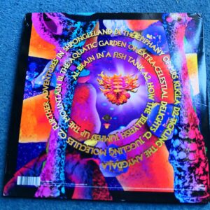 SHPONGLE - MUSEUM OF CONSCIOUSNESS 2LP - Nr MINT ELECTRONICA AMBIENT