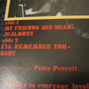 WASTED YOUTH - MY FRIENDS ARE DEAD 12" - EXC+ PUNK