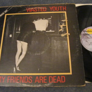 WASTED YOUTH - MY FRIENDS ARE DEAD 12" - EXC+ PUNK