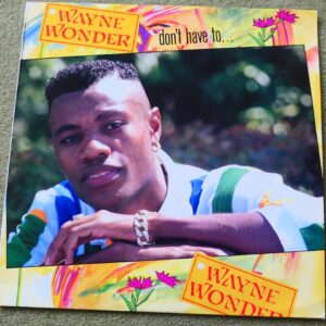 WAYNE WONDER - DON'T HAVE TO... LP - Nr MINT 1993 UK REGGAE BUJU BANTON