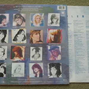 Bangles_Different_Light_vinyl_record_bc