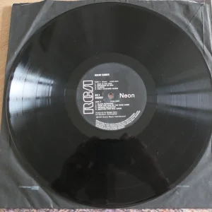 Indian_Summer_vinyl_record_VinylB