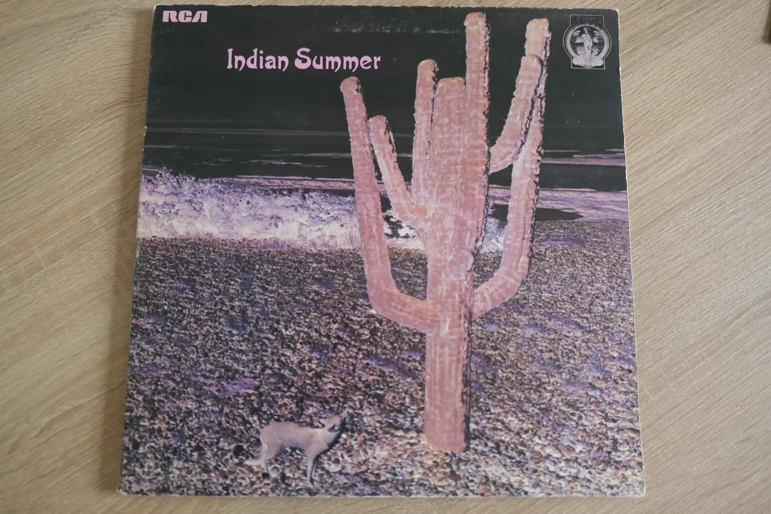 Indian_Summer_vinyl_record_fc