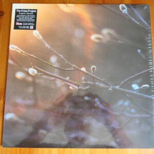 THE ARIES PROJECT - ENGLISH GHOSTS LP - MINT SEALED 2014 ELECTRONICA