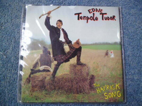 EDDIE TENPOLE TUDOR - THE HAYRICK SONG 7" - Nr MINT UK PUNK