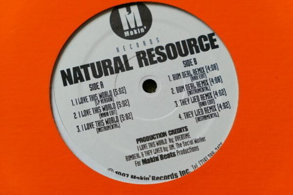 NATURAL RESOURCE - I LOVE THIS WORLD 12" - Nr MINT 1997  RAP HIP HOP