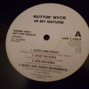 NUTTIN' NYCE - IN MY NATURE Promo 12" - Nr MINT 1993  RAP HIP HOP R&B