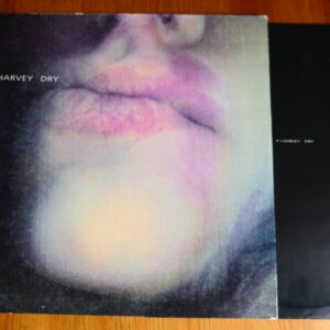 PJ HARVEY - DRY LP - Nr MINT/EXC+ A2/B2 UK ORIG  INDIE