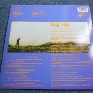 PETER HUNNIGALE - MR VIBES LP - Nr MINT A1/B1 UK REGGAE DUB